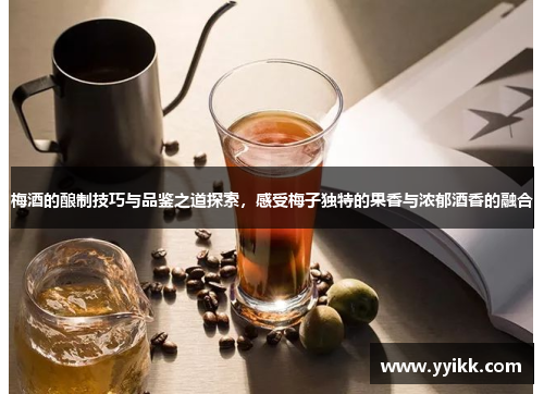 梅酒的酿制技巧与品鉴之道探索，感受梅子独特的果香与浓郁酒香的融合